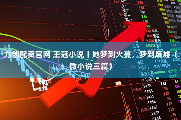 力创配资官网 王冠小说丨她梦到火蔓，梦到废墟（微小说三篇）