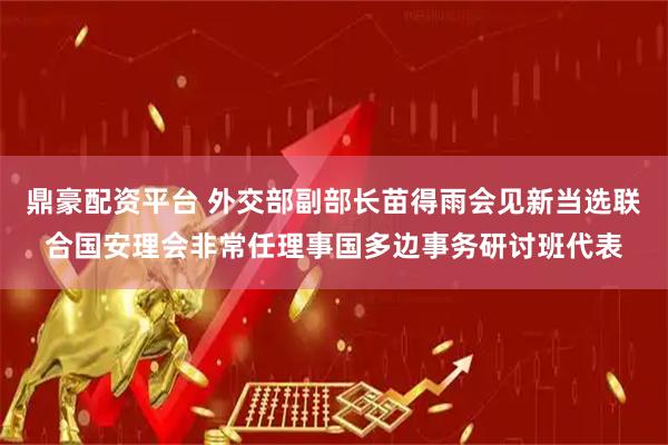 鼎豪配资平台 外交部副部长苗得雨会见新当选联合国安理会非常任理事国多边事务研讨班代表
