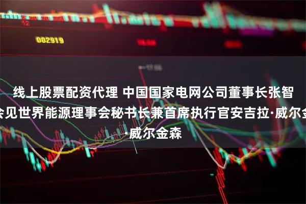 线上股票配资代理 中国国家电网公司董事长张智刚会见世界能源理事会秘书长兼首席执行官安吉拉·威尔金森